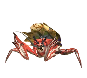 Hermitaur Hermitaur