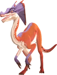 Jaggi